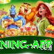 BG8881 - Royal Earning App